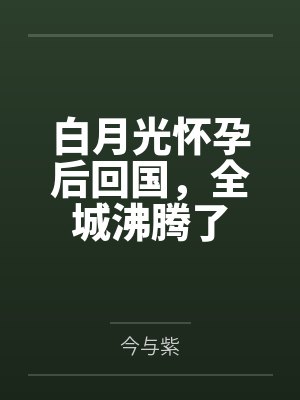 航班370封面