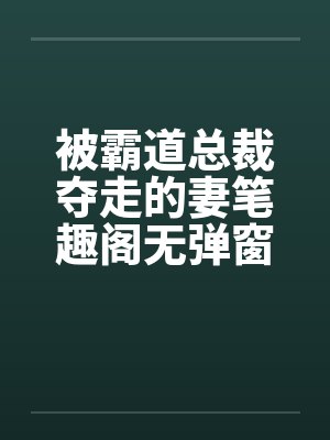 我的大学教授妻子封面